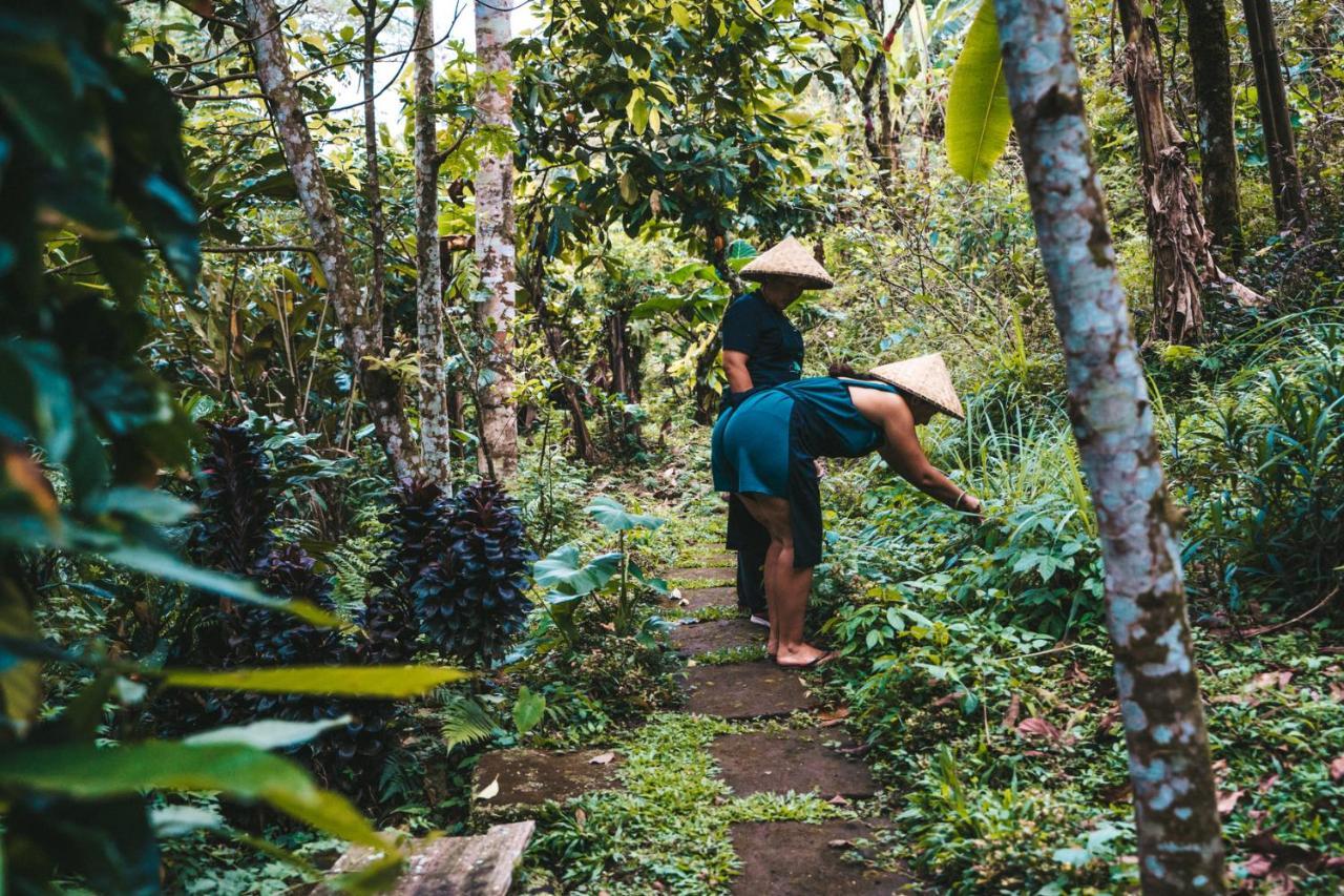 Bali Jungle Camping By Amerta Experience Табанан Экстерьер фото