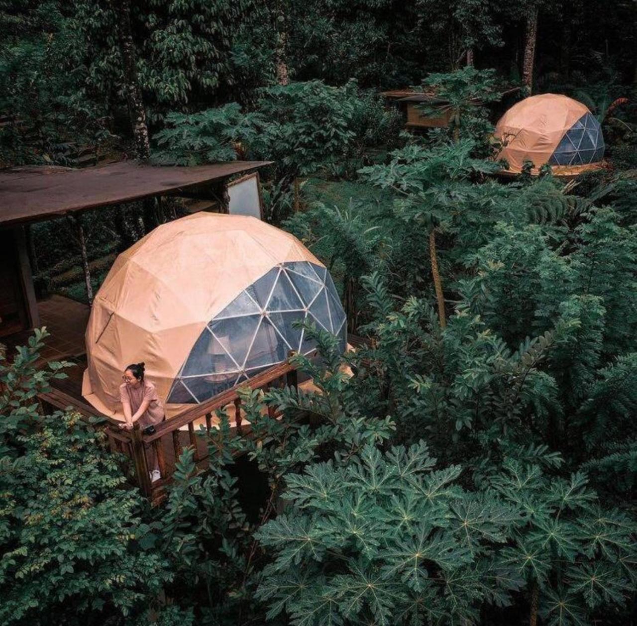 Bali Jungle Camping By Amerta Experience Табанан Экстерьер фото