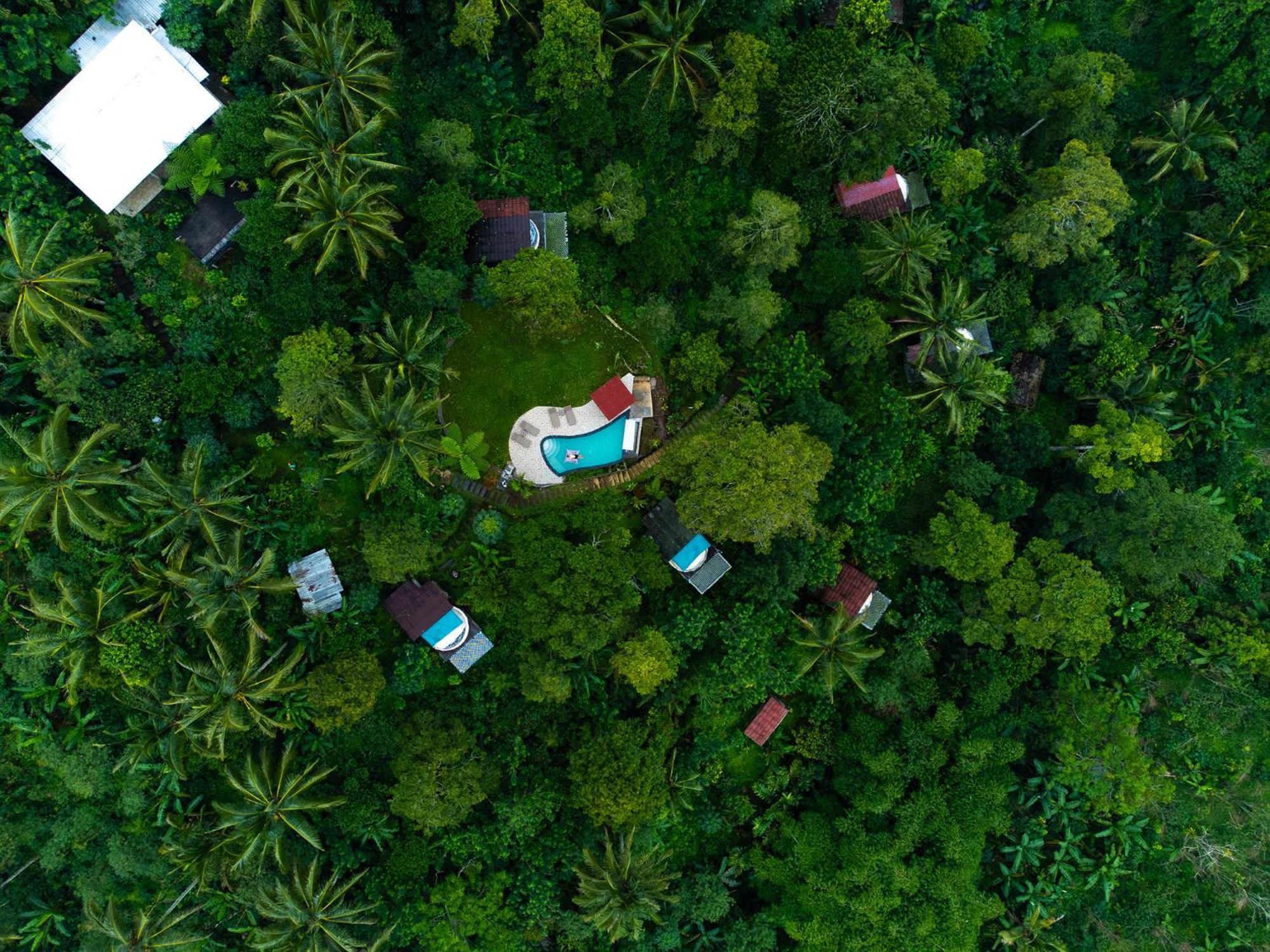 Bali Jungle Camping By Amerta Experience Табанан Экстерьер фото